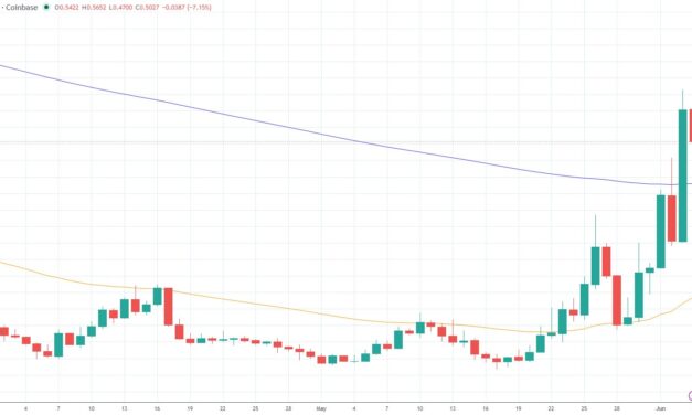 Worldcoin is an overlooked bet on the AI IPO wave: Maelstrom