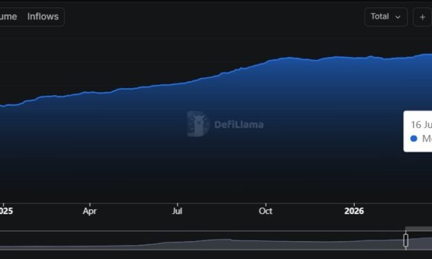 China pays closer attention to stablecoins as cross-border role expands