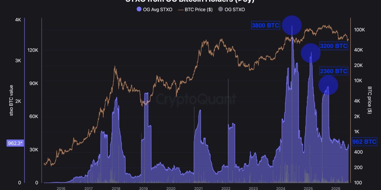 Multi-year Bitcoin holder selling falls to 19-month low as halving model flags new market bottom date
