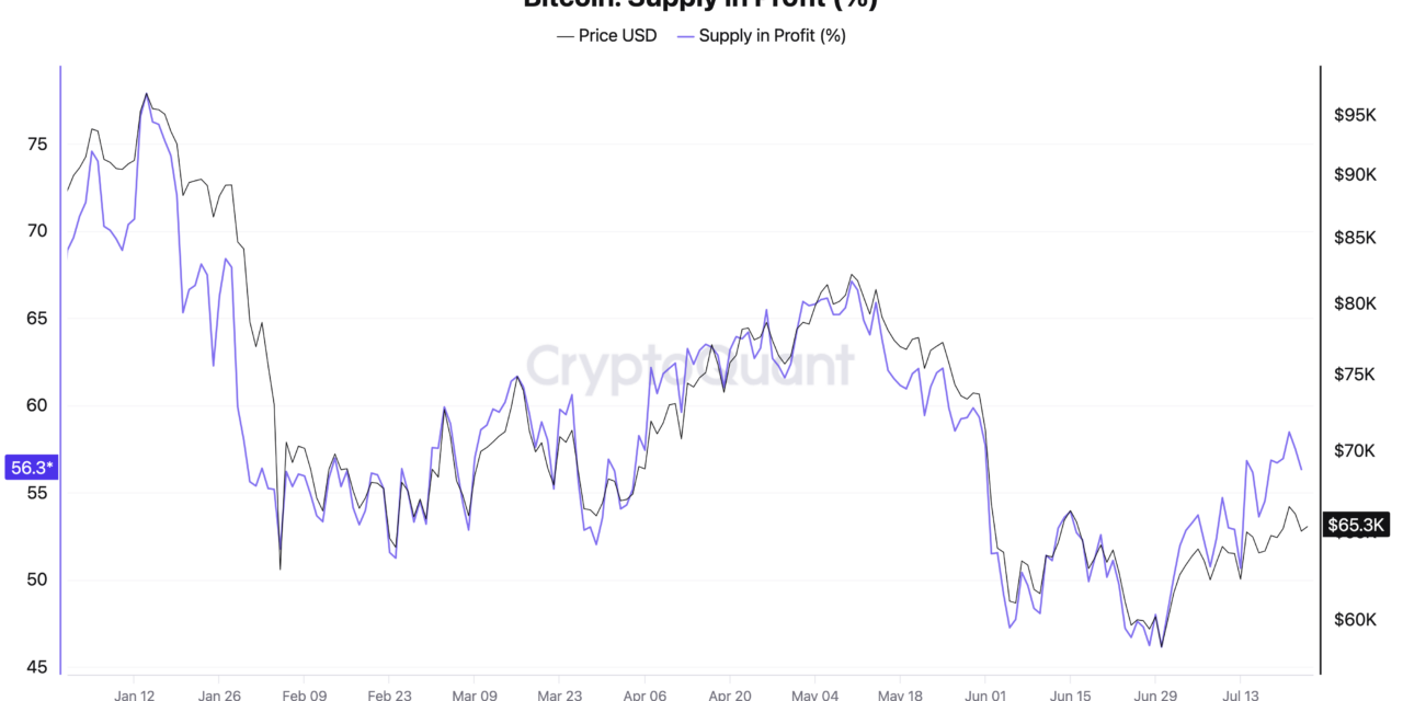 BTC supply in profit eyes 60%, but analysis hints recovery may ‘roll back over’