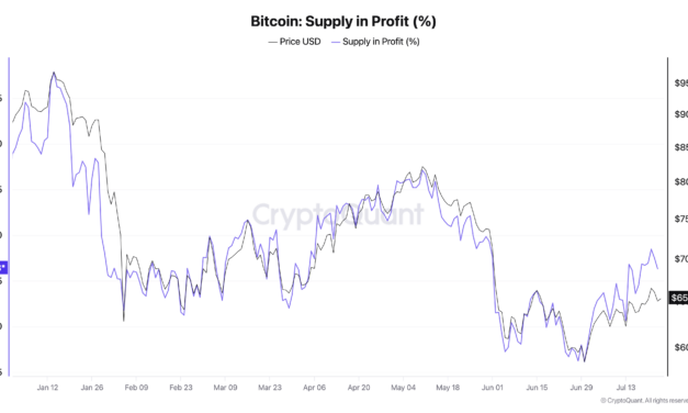 BTC supply in profit eyes 60%, but analysis hints recovery may ‘roll back over’