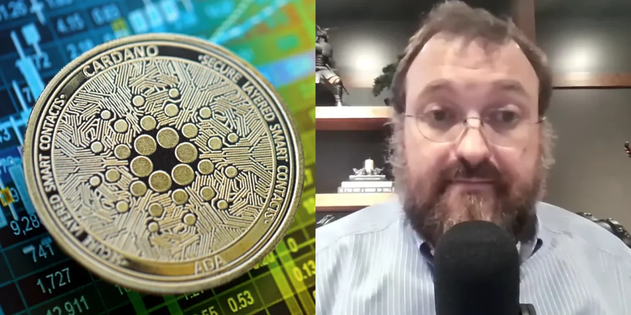 Je Cardano mŕtve? Kedysi 3. najväčšia kryptomena upadá do zabudnutia