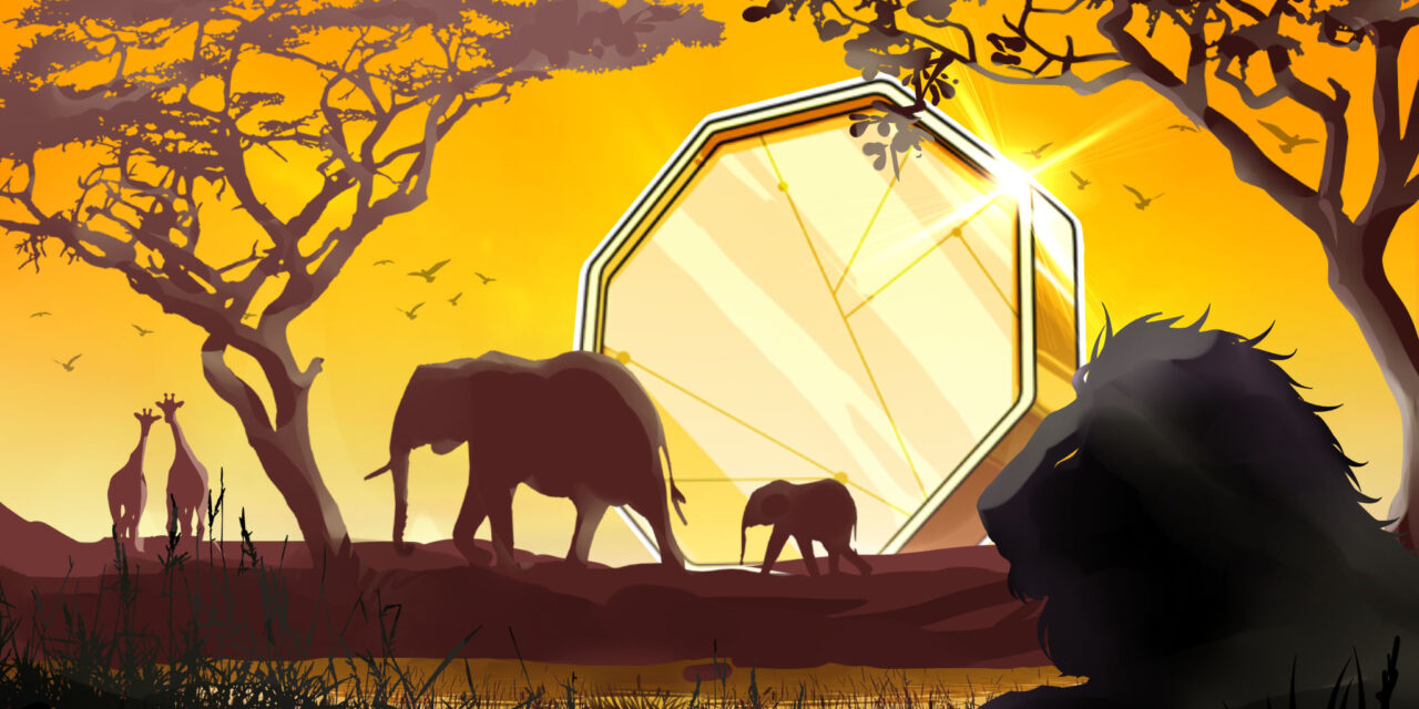 Zimbabwe admits seven fintech projects to regulatory sandbox
