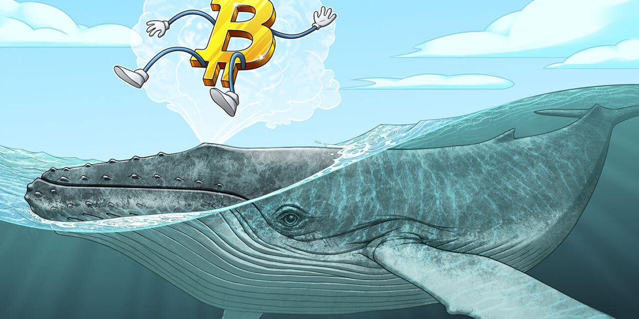 Bitcoin OG selling eases as dormant BTC movement hits 4-year low: Thorn