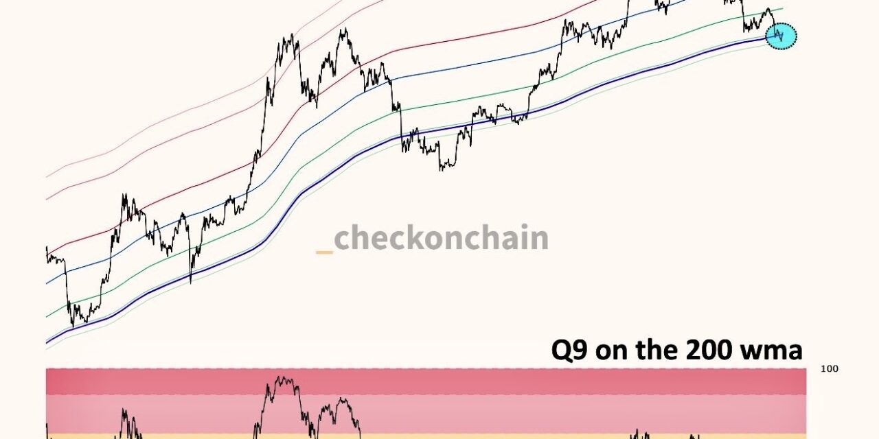 BTC speculators in focus as analysis says 'textbook Bitcoin bottom' is underway