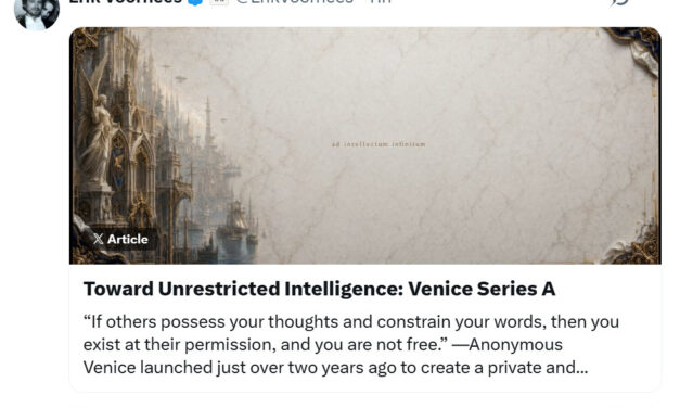 Venice AI becomes unicorn after $65M Series A as AI privacy concerns grow