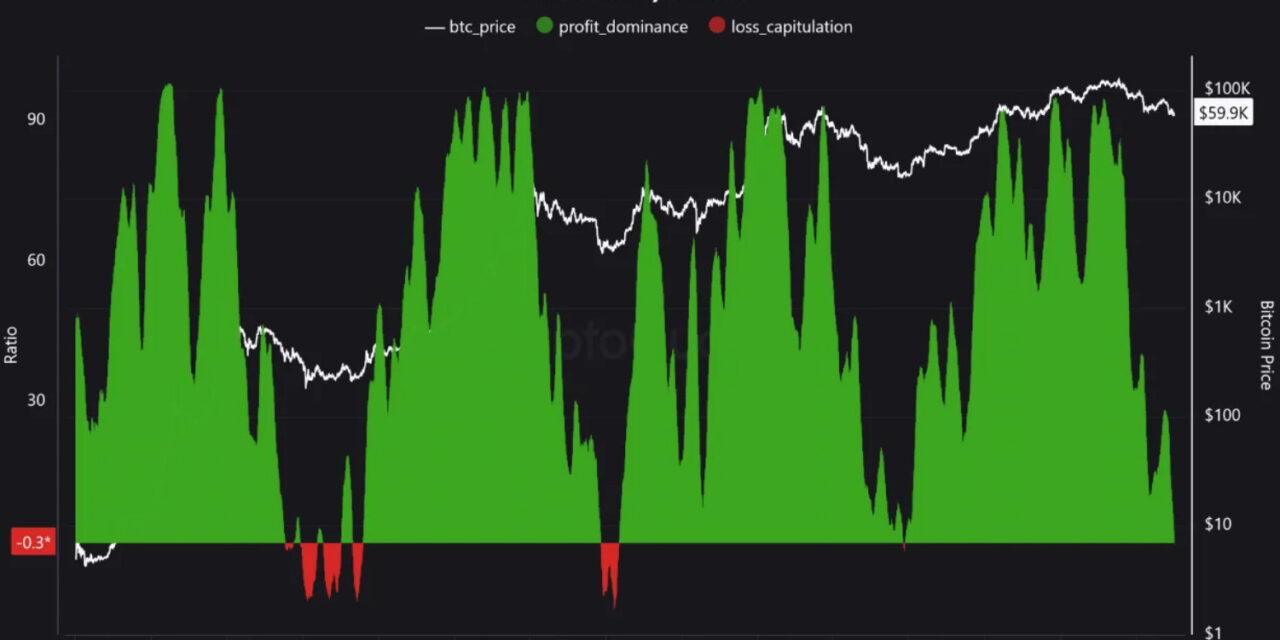 Bitcoin P&L ratio falls to 43-month low