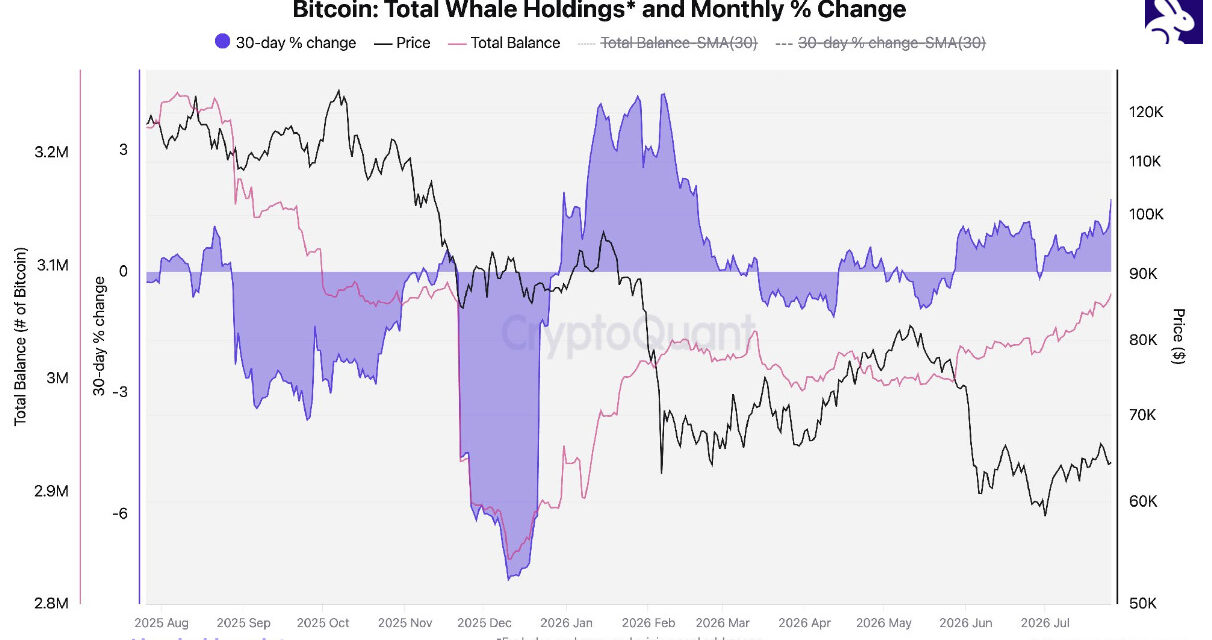 Crypto whales accumulate as bear market nears late stage: CryptoQuant