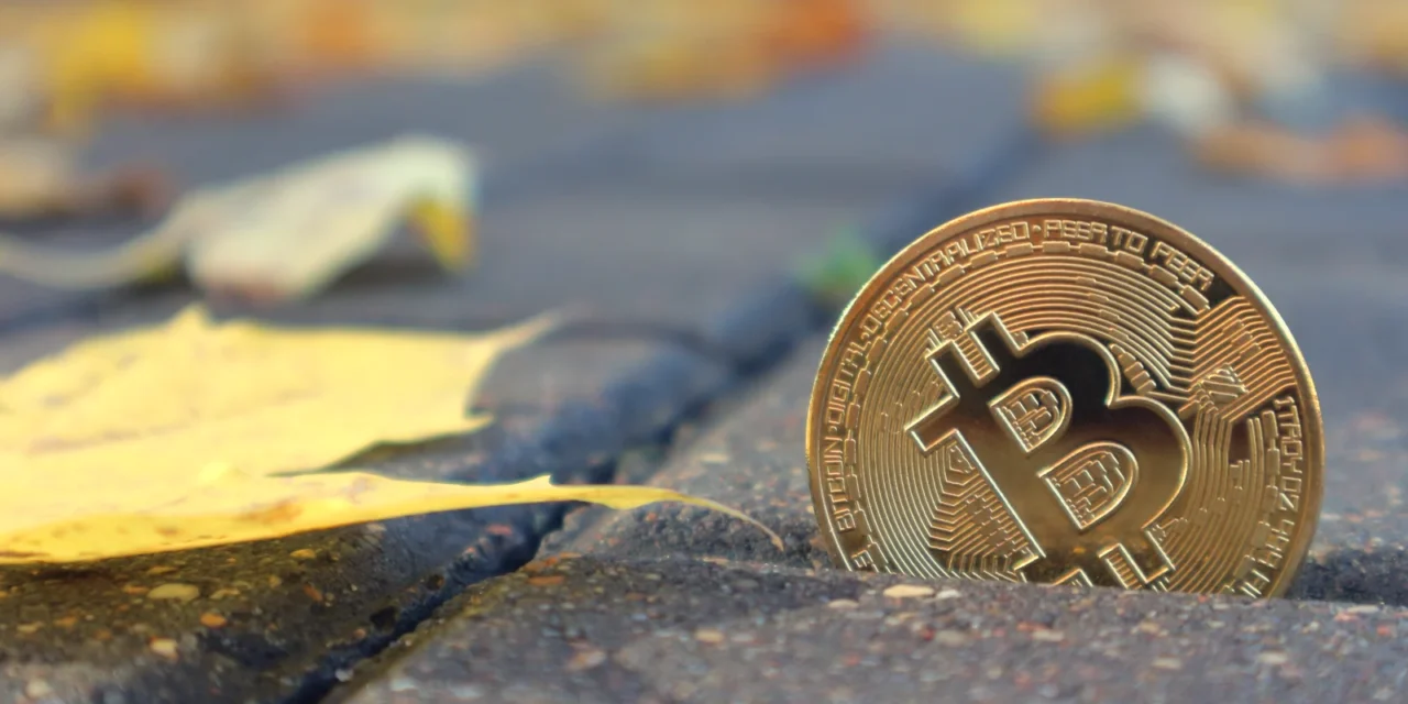 Bitcoin mieri do najziskovejšej fázy roka: Zopakuje sa historický rast?