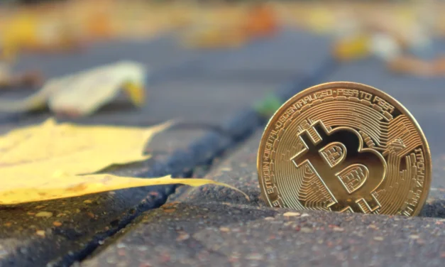 Bitcoin mieri do najziskovejšej fázy roka: Zopakuje sa historický rast?