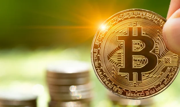 Veľký návrat kryptomien: Bitcoin stúpol o 20 000 $ za jediný mesiac a nekončí