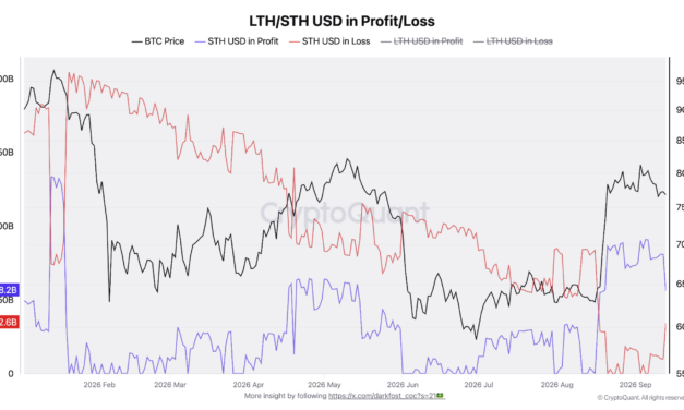 Bitcoin short-term holders hit 30-day profit streak as bull-market odds improve: CryptoQuant
