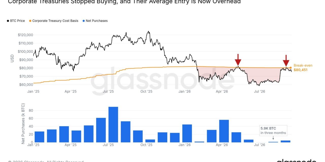 Bitcoin treasuries buy just 5.9K BTC in three months as paper losses linger