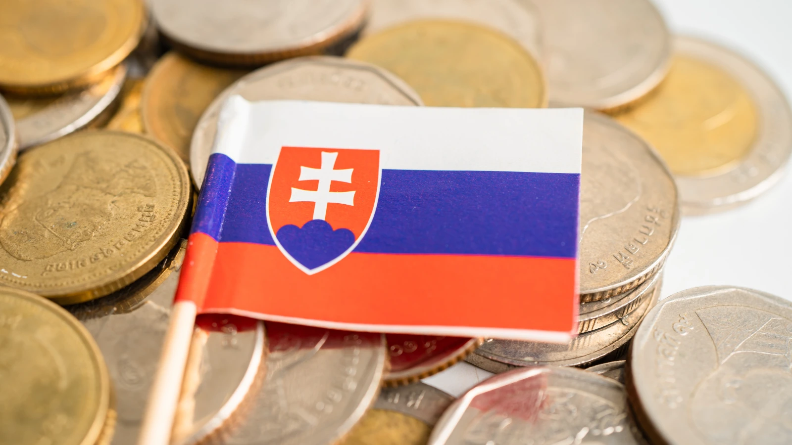 Slovensko musí šetriť